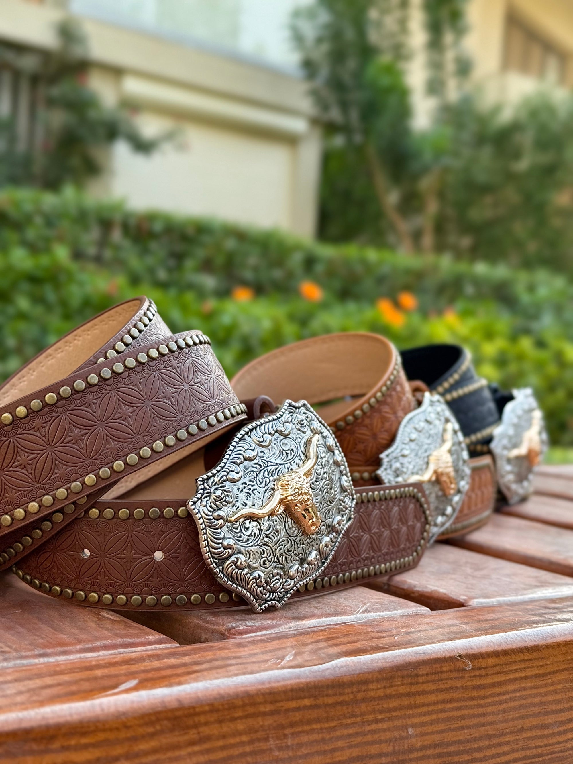 Caballera Belt 🐎