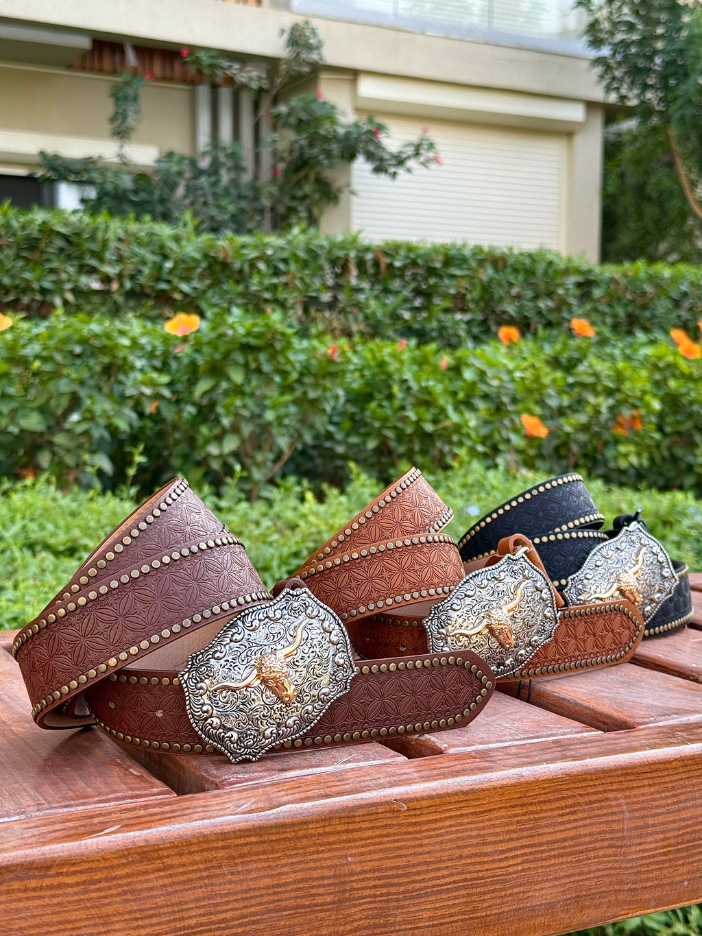 Caballera Belt 🐎