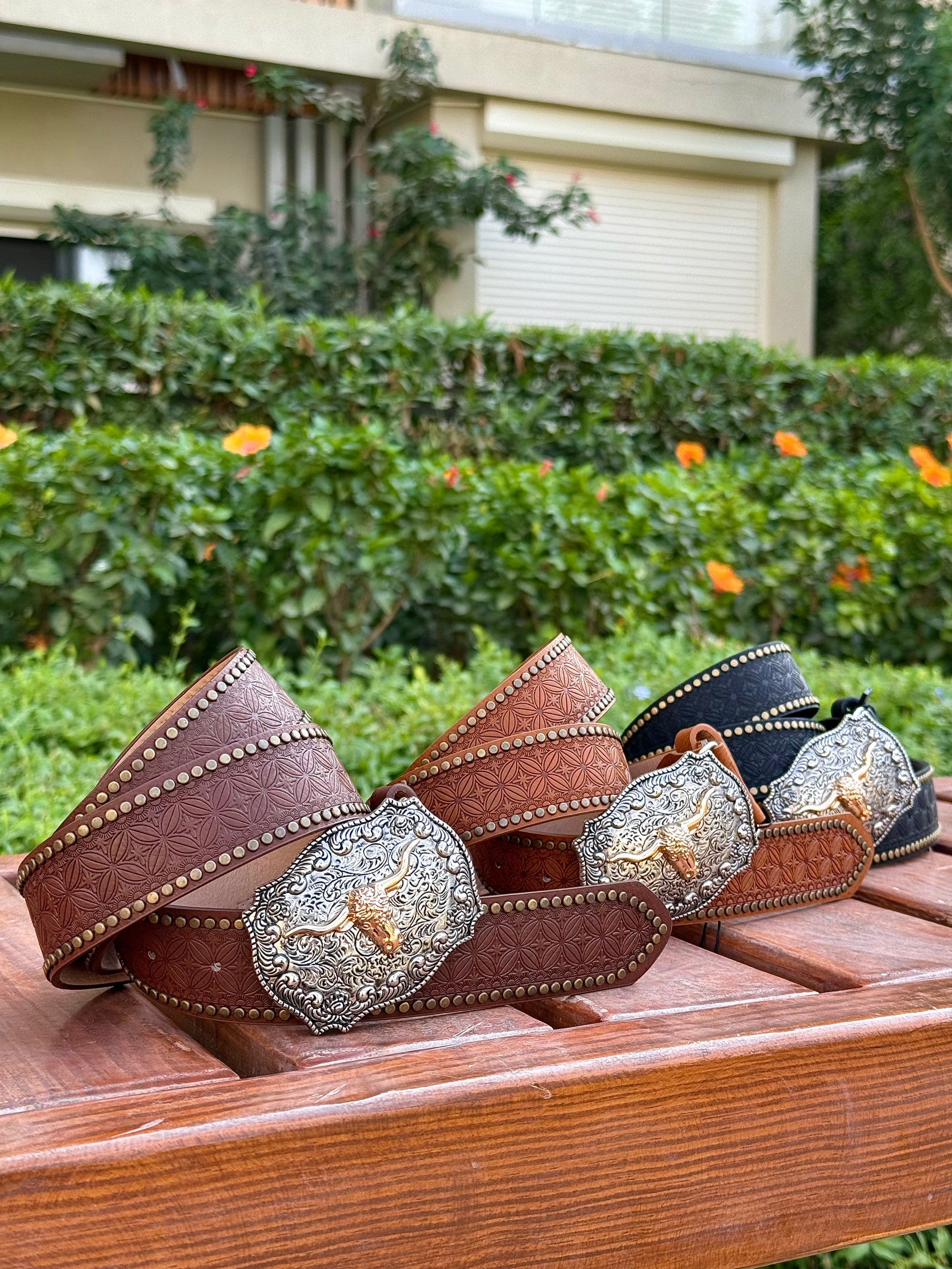 Caballera Belt 🐎