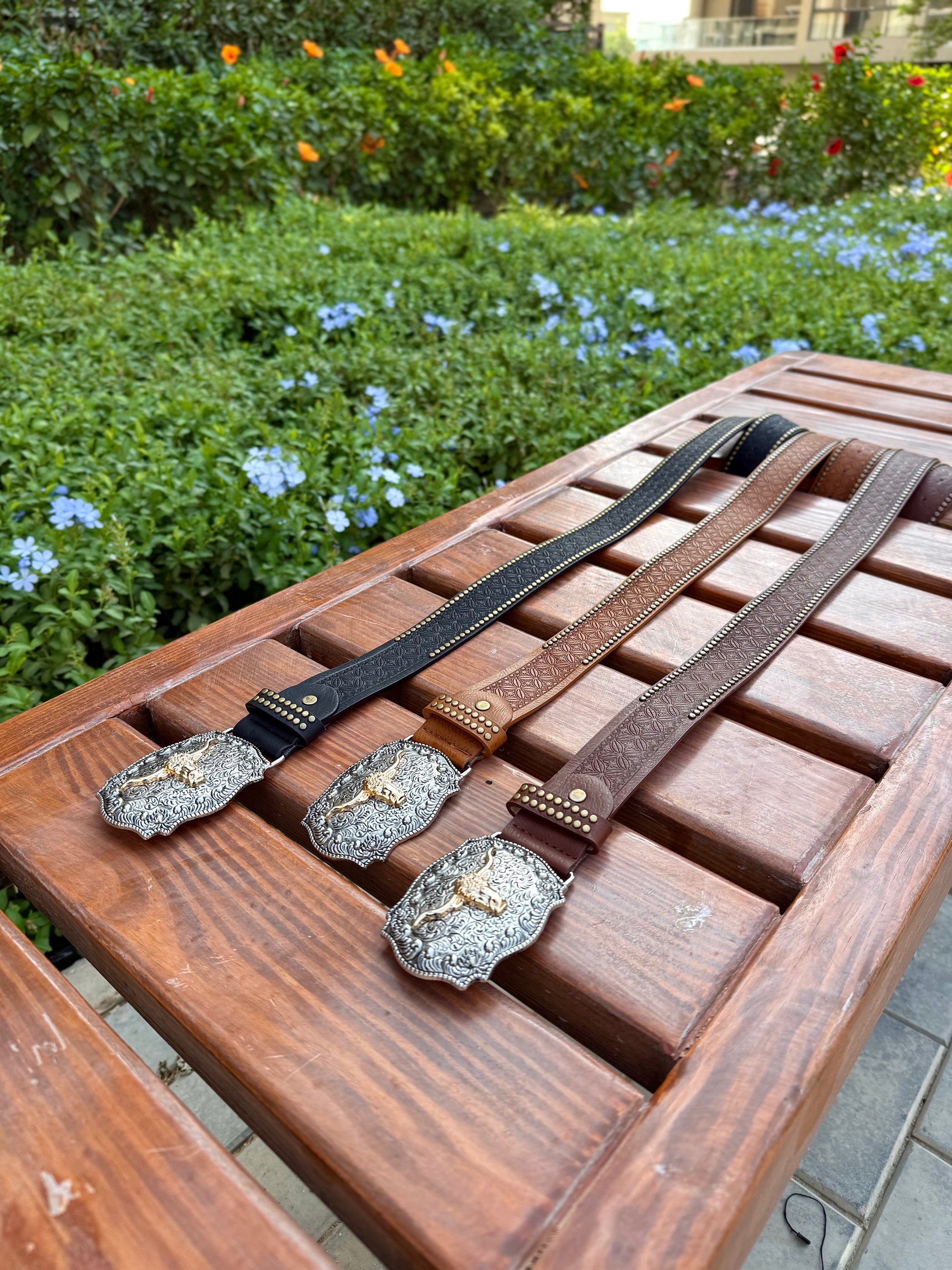 Caballera Belt 🐎