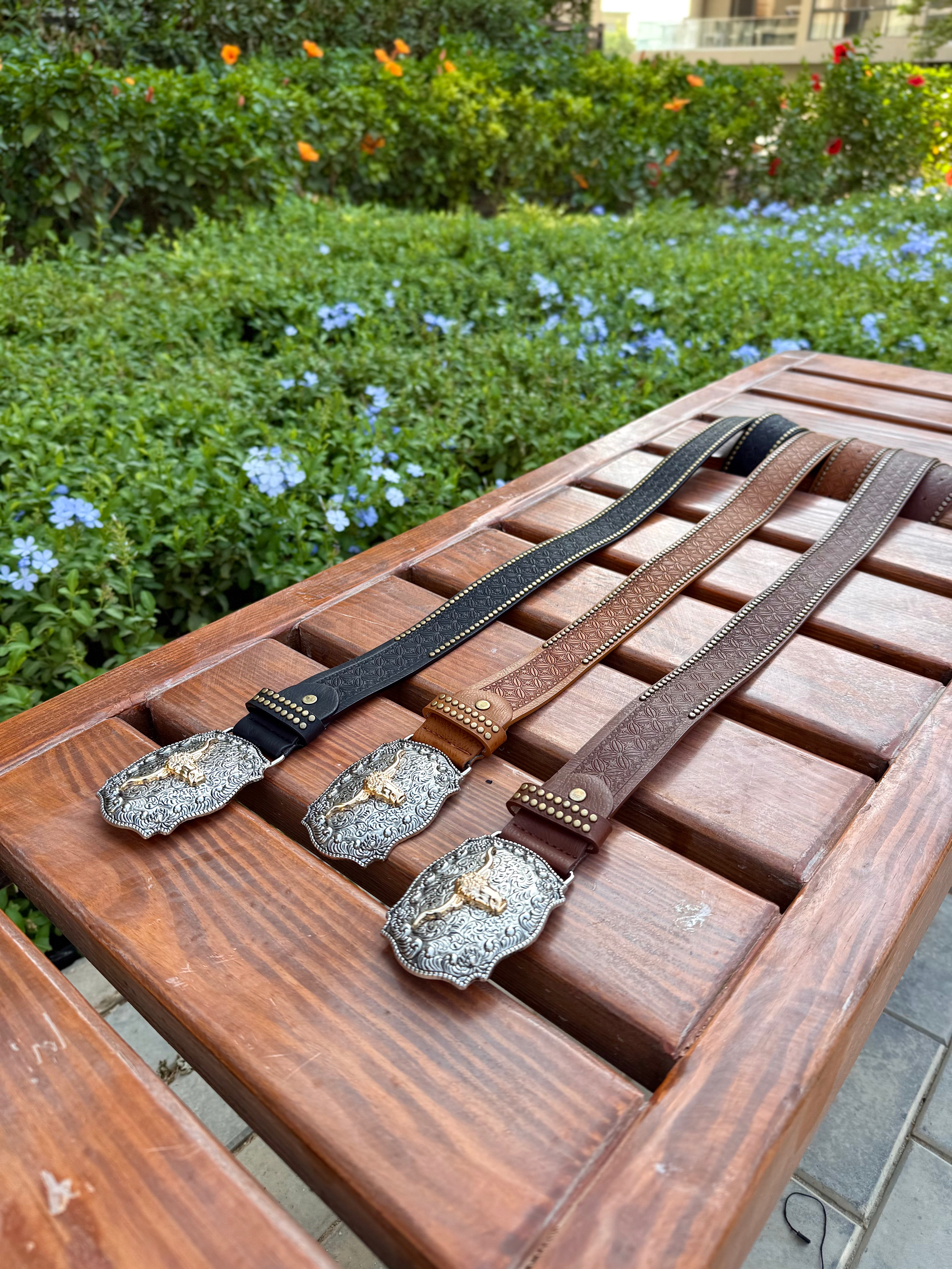 Caballera Belt 🐎